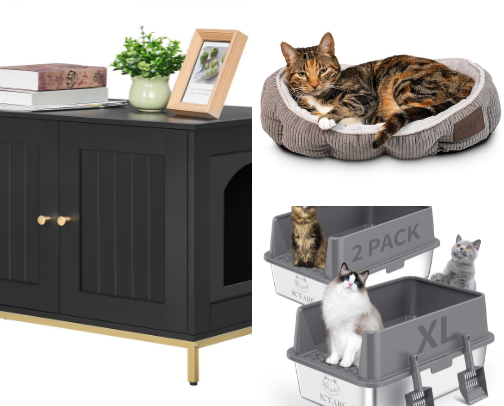 All things cats! cover photo collage
