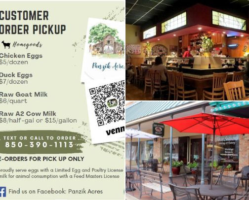 Things to do in Northwest Florida cover photo collage