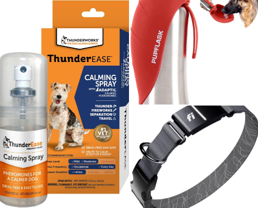 Hotel Stay Essentials for Dogs cover photo collage