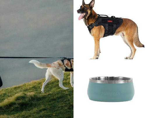 Dog must have list cover photo collage