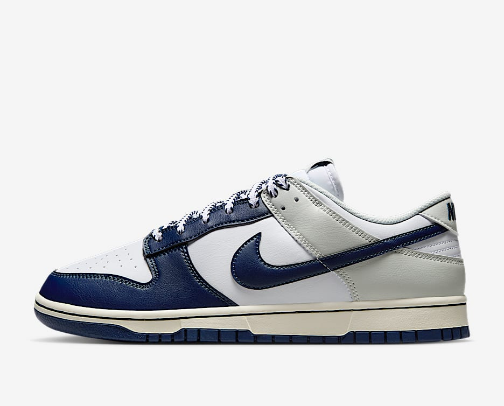 Nike Dunk Low Metro Shoes cover photo collage
