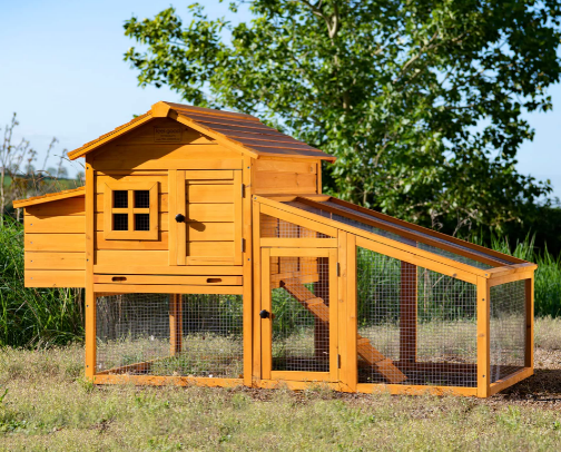Chicken Keeping Essentials for Beginners UK (Coop Setup, Feeding, Cleaning & Daily Care Must-Haves) cover photo collage