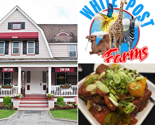 Long Island NY recs cover photo collage