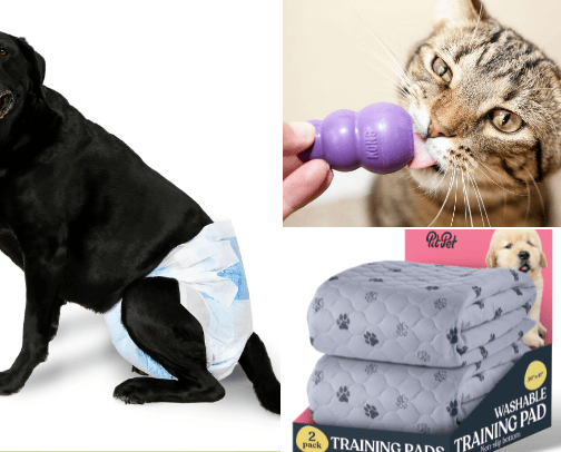 Must-Have Pet Products cover photo collage