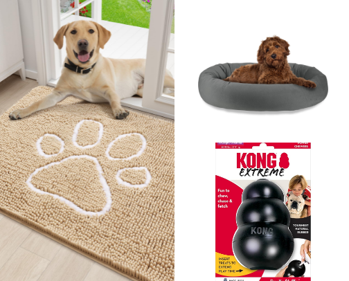 Must-Have Dog Items Every Pup Will Love 🐾 cover photo collage