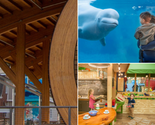 CT Shoreline Activities for kids! cover photo collage