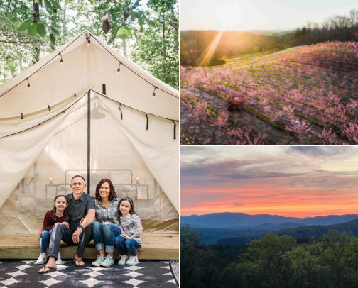 Georgia! cover photo collage