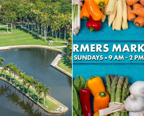 My new list cover photo collage