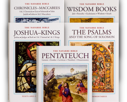 Top 17 Catholic Bible Commentaries for Deep Scripture Study & Stronger Faith cover photo collage