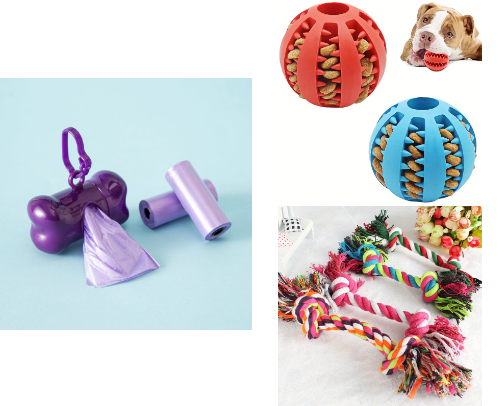 Dog accessories cover photo collage
