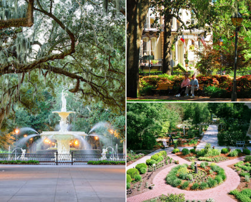 Savannah Georgia Experience cover photo collage