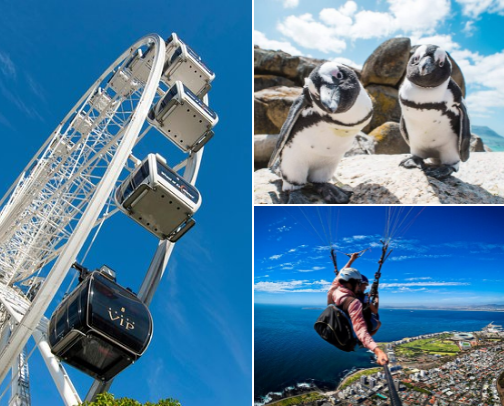 Fave things to do in Cape Town 🌅 cover photo collage