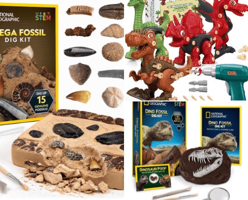 Dinosaur Fun cover photo collage