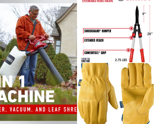 15 Must-Have Yard Tools That Actually Work in Southern Arizona 🌵 Desert Gardening Essentials cover photo collage