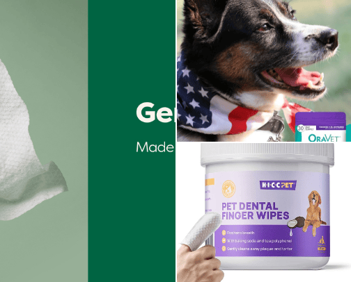 Pet care cover photo collage