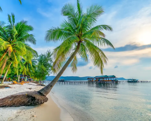🌴 Tropical Vacation Prep Essentials (Travel Checklist) cover photo collage