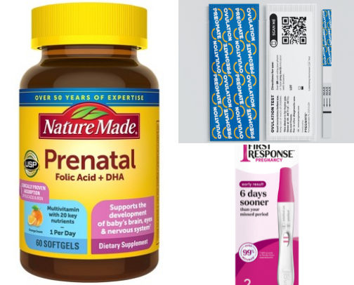 The Path to Pregnancy cover photo collage