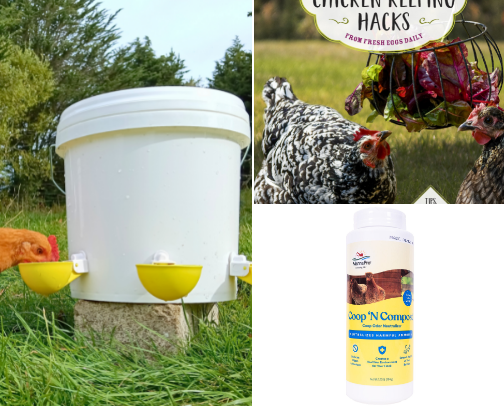 5 Chicken Coop Hacks cover photo collage