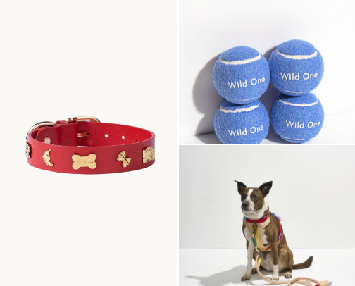 Dog essentials for my pups that I love cover photo collage