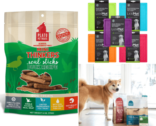 Dog Essentials 🐾 cover photo collage