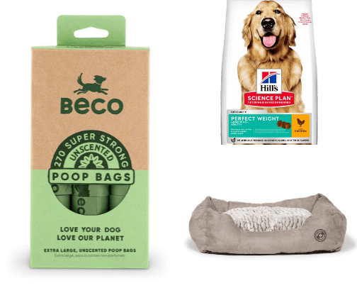 Everything for DOGS 🐶 cover photo collage