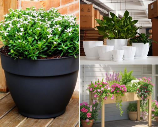 Small Space Gardening Starter Kit 🌱 cover photo collage