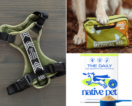 Must Haves for Dogs cover photo collage