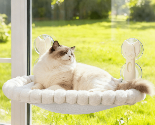 Life is better with pets cover photo collage