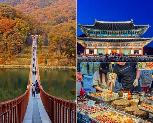 Soulful Seoul Adventures: Experiences you'll remember forever cover photo collage