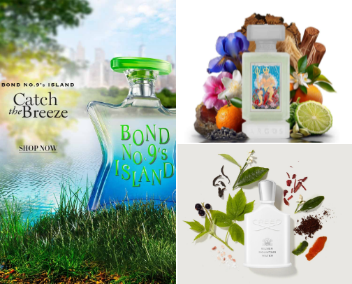 🪼niche summer fragrances🪼 cover photo collage