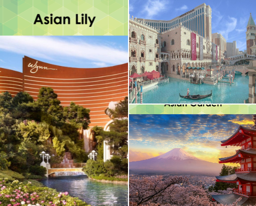 Scents of Vegas cover photo collage