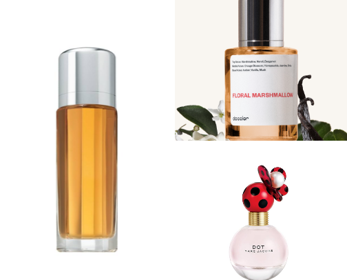 <$100 Perfumes cover photo collage