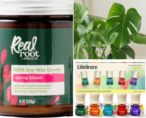 clean & toxin-free home must-haves ☁️ cover photo collage