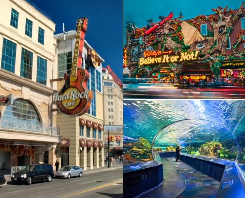Trips I am planning for to take before I turn 51 cover photo collage