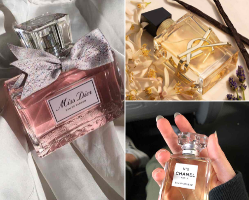 Long lasting perfumes 🌺 cover photo collage