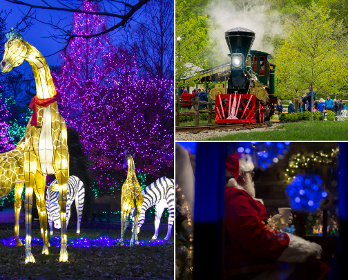 Holiday Festivities cover photo collage