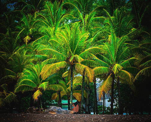 Wonderful Costa Rica cover photo collage