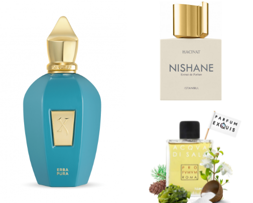 Best parfums for summer 2025. cover photo collage