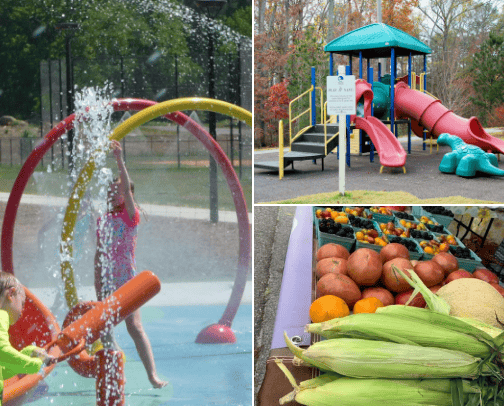 What To Do Around Lake Murray cover photo collage