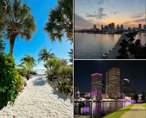 fun things to do in tampa florida cover photo collage