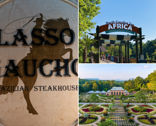 The Local Edit | Winston-Salem, Triad & NC Favorites cover photo collage