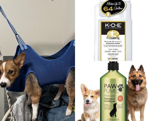 Dog mom essentials 🐾 cover photo collage