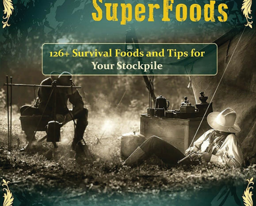 The Lost SuperFoods | Book (printed) cover photo collage
