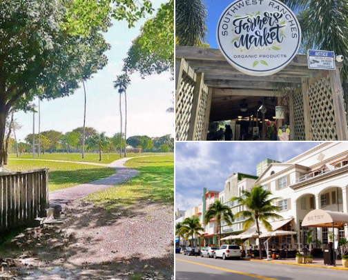 Things to Do in MIA🌃 cover photo collage