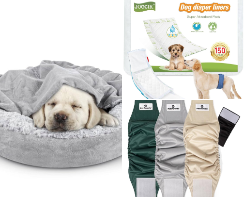 Gus & Brewsters Favorites: All Things Dogs cover photo collage