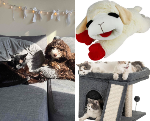 Pet Mom Must Haves! cover photo collage