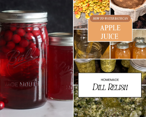 How to Start Your Canning Journey 🫙 cover photo collage