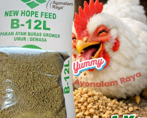 Chicken Food cover photo collage