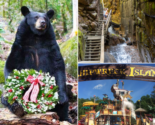 Explore the New Hampshire - White Mountains, Lincoln cover photo collage