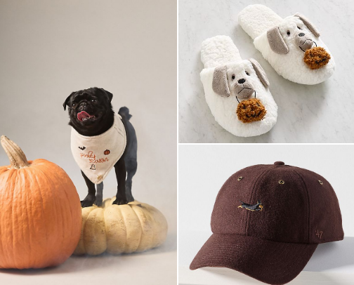 🍂 All Things Fall: Dog Mom & Pup Edition cover photo collage